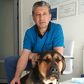 veterinarska-ambulanta-ivavet-veterinarska-laboratorija-615811